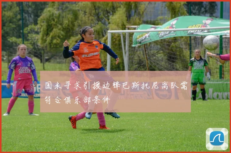 国米寻求引援边锋巴斯托尼离队需符合俱乐部条件