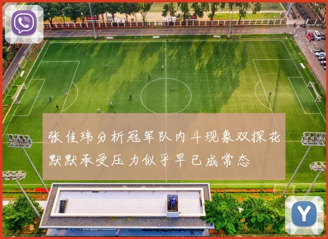 张佳玮分析冠军队内斗现象双探花默默承受压力似乎早已成常态